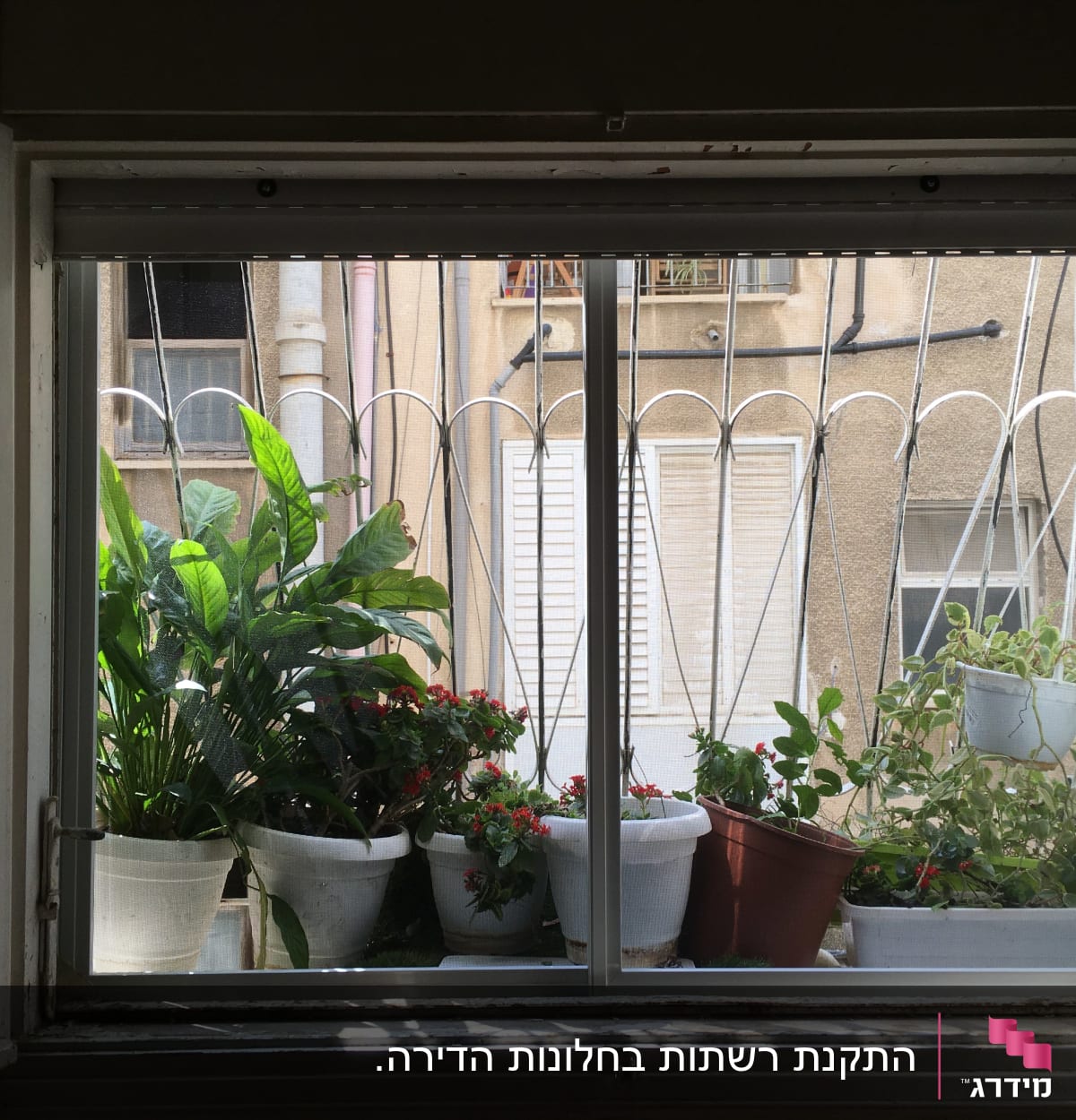 חלון אלומיניום עם סורגים וצמחים בעציצים